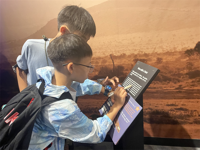 International vision expansion